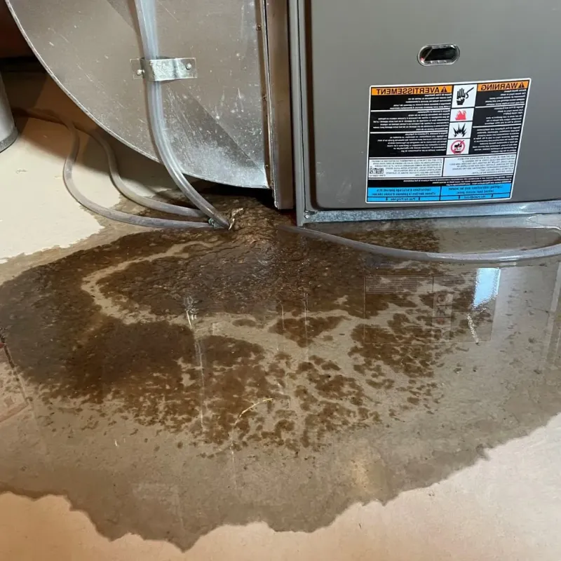 Pipe Burst and Leak Restoration in Saint Helena, CA