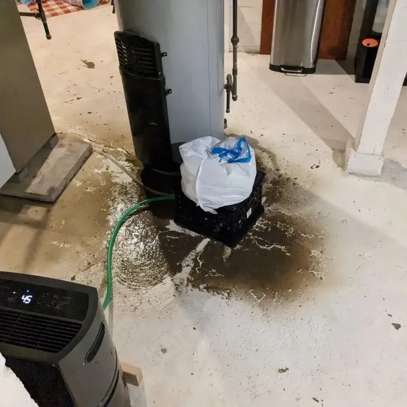 Sewage Backup Cleanup Service in Saint Helena, CA